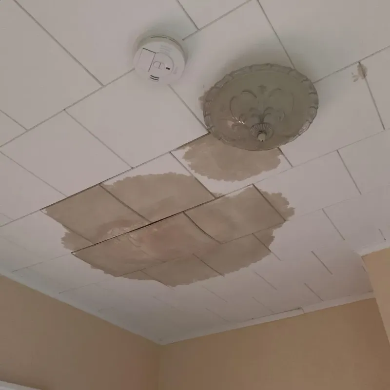 Ceiling Water Damage Repair in Towner County, ND