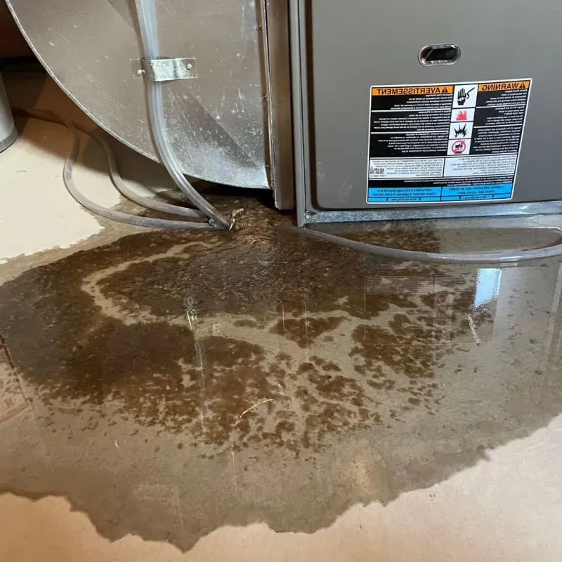Pipe Burst and Leak Restoration in Towner County, ND