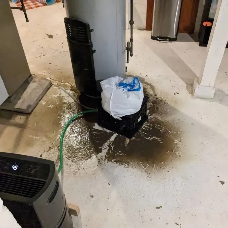 Sewage Backup Cleanup Service in Towner County, ND